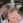 Frances Mary (Fran) Murphy