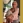 Carole 'Cass' McShane