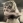 Jill Margaret Elizabeth Channon