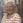Barbara Picard